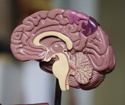 Nervous system, emotions, pupil