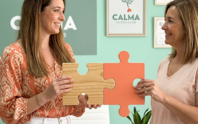 Therapeutic alliance